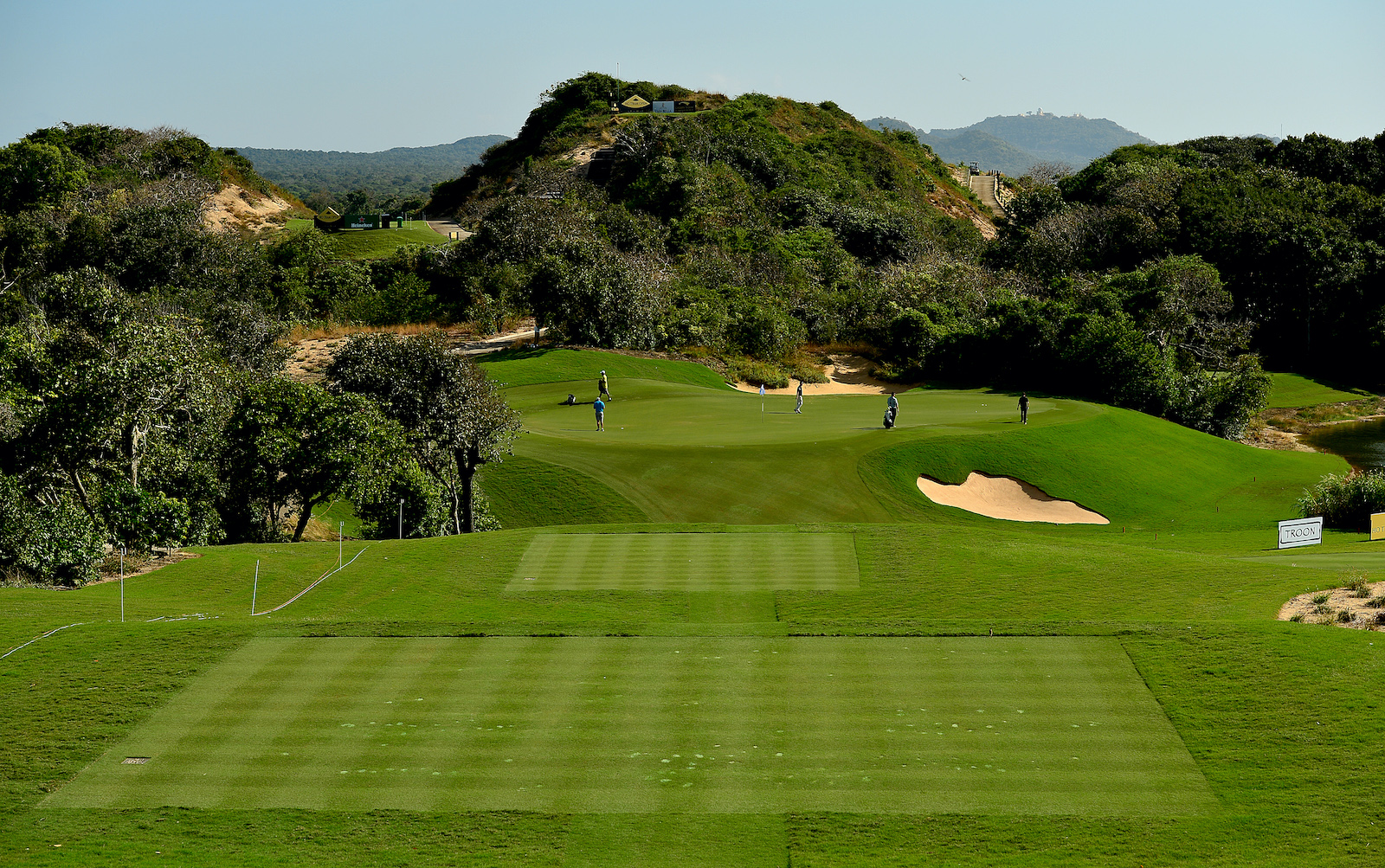 Tifway: Ibrido sterile di Cynodon_Bindi Pratopronto Nord